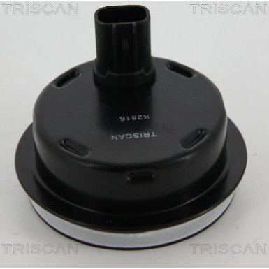 Sensor, Raddrehzahl 818013201