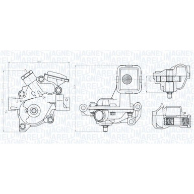 MAGNETI MARELLI Ölpumpe 351516000146 MAGNETI MARELLI Ölpumpe 351516000146