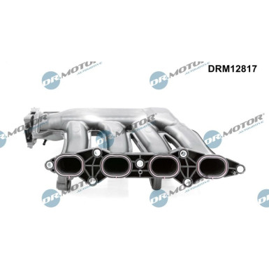 SAUGROHRMODUL DRM12817 SAUGROHRMODUL DRM12817