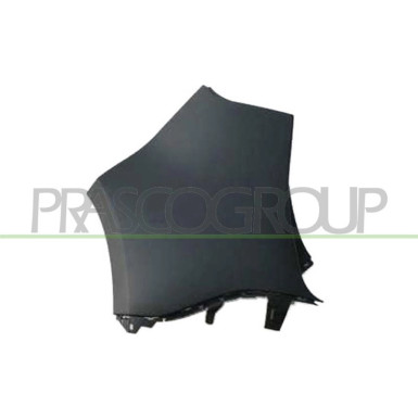 STOßECKE H L +/-PDC RENAULT SCENIC (-GRAND SCENIC) 2,09-8,16 5278,360,1