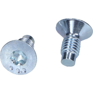 Schraube, Bremsscheibe TPM0004