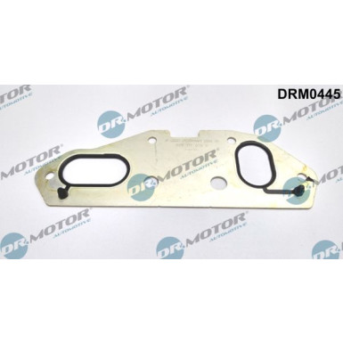 Dichtung, Ílkühler DRM0445