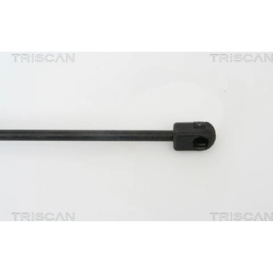 Gasfeder, Motorhaube 871029123