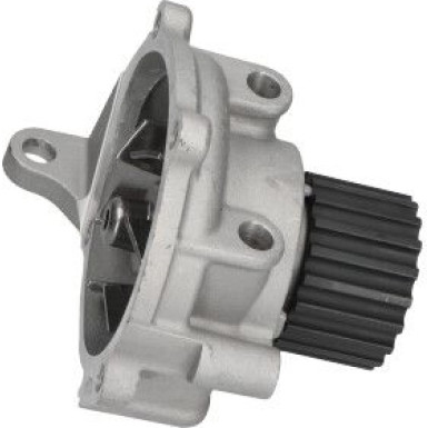 PA 973 Wasserpumpe MW-1539 PA 973 Wasserpumpe MW-1539