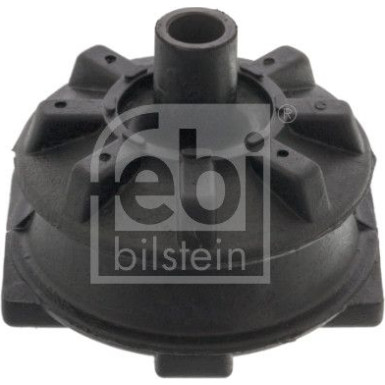 Lagerung - Radaufhängung Ford T. Sierr 05622 Lagerung - Radaufhängung Ford T. Sierr 05622