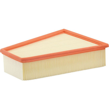 FILTRON Luftfilter AP 186/1