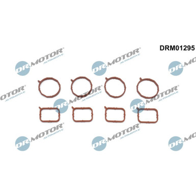 DR.MOTOR Dichtungssatz, Ansaugkrümmer DRM01295