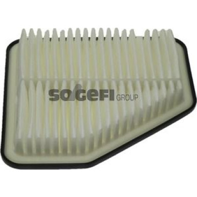 FRAM Luftfilter CA10169