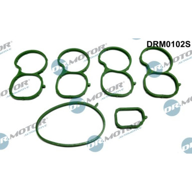 DR.MOTOR Dichtungssatz, Ansaugkrümmer DRM0102S