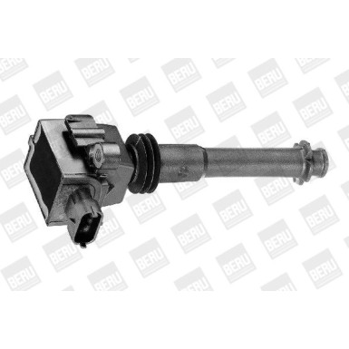 BorgWarner (BERU) Zündspule ZS311