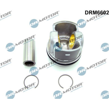 Teilmotor DRM6602 Teilmotor DRM6602