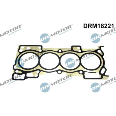 Dichtung, Zylinderkopf DRM18221