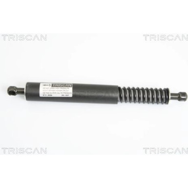 Gasfeder, Koffer-/Laderaum 871029264