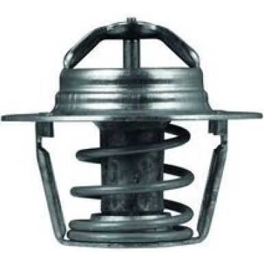 Thermostateinsatz mit Dichtung TX 91 89D