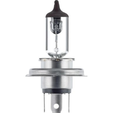 HELLA Glühlampe, Hauptscheinwerfer 8GJ 002 525-101 HELLA Glühlampe, Hauptscheinwerfer 8GJ 002 525-101