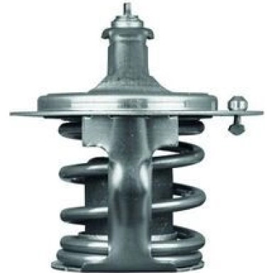 Thermostateinsatz mit Dichtung TX 79 78D