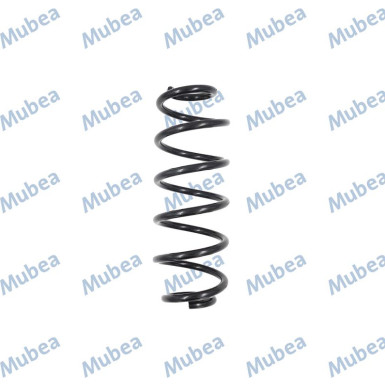 Fahrwerksfeder HA VW Golf 061999-E