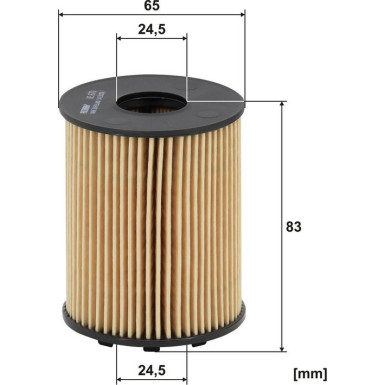 FILTRON Ölfilter OE 670 FILTRON Ölfilter OE 670