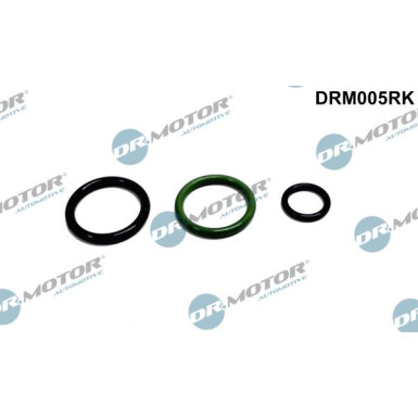 Reparatursatz, Pumpedüse Einheit DRM005RK
