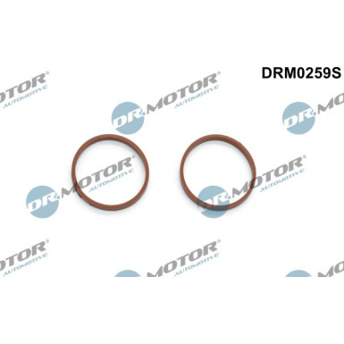 DR.MOTOR Dichtungssatz, Ansaugkrümmer DRM0259S DR.MOTOR Dichtungssatz, Ansaugkrümmer DRM0259S