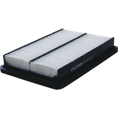 FILTRON Luftfilter AP 107/10