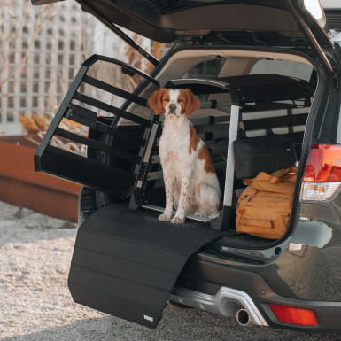 Thule Allax Hundebox L - sicherer und komfortabler Transport für Hunde Thule Allax Hundebox L - sicherer und komfortabler Transport für Hunde