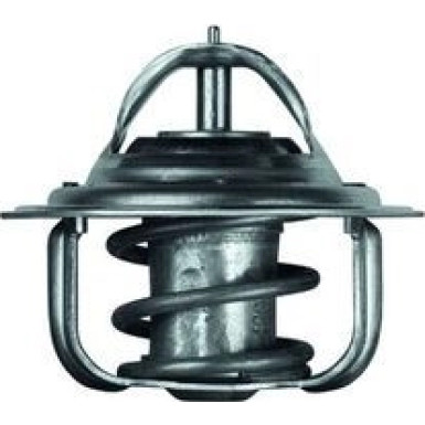 Thermostateinsatz mit Dichtung TX 5 88D