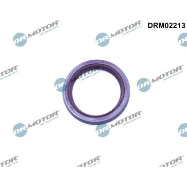 WELLENDICHTRING, NOCKENWELLE DRM02213