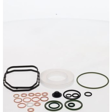 Dieselpumpendichtsatz RENAULT,VOLVO,VW,IVECO 2467010003