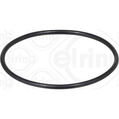 Dichtring 750.450 Dichtring 750.450