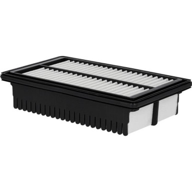 FILTRON Luftfilter AP 197/2