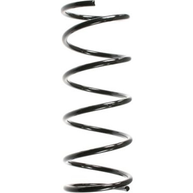 SPIDAN Fahrwerksfeder 48161