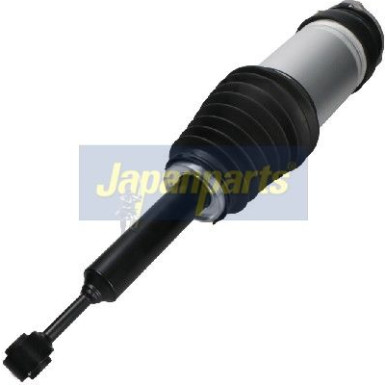 LUFTFEDERBEIN MM-AS196