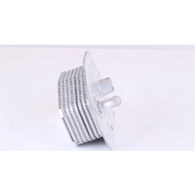Ölkühler PKW Mercedes C-Klasse 93 91179 Ölkühler PKW Mercedes C-Klasse 93 91179