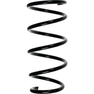 SPIDAN Fahrwerksfeder 49074