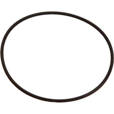 O-Ring Diverse F 01M 100 371