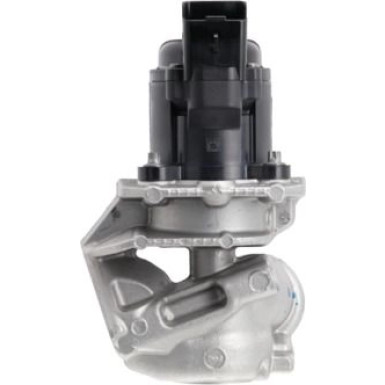 AGR-Ventil 700474