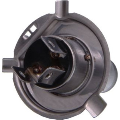 Glühlampe H4 12V/100/90W Rally Nur Off-Road (Ohne Ece) 78-0009