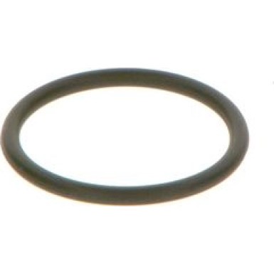 O-Ring BMW F 00V C38 042