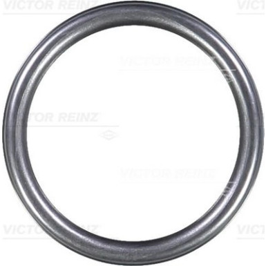 VICTOR REINZ Dichtring 40-76313-10