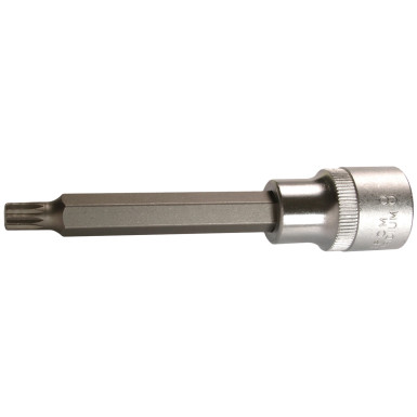 SW-Stahl XZN - Einsatz 6 x 100 mm 1/2Z 05201SB