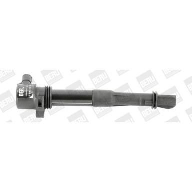 BorgWarner (BERU) Zündspule ZS320