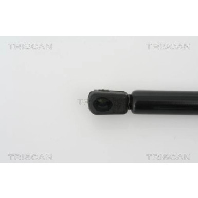 Gasfeder, Motorhaube 871027105