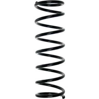 SPIDAN Fahrwerksfeder 49246