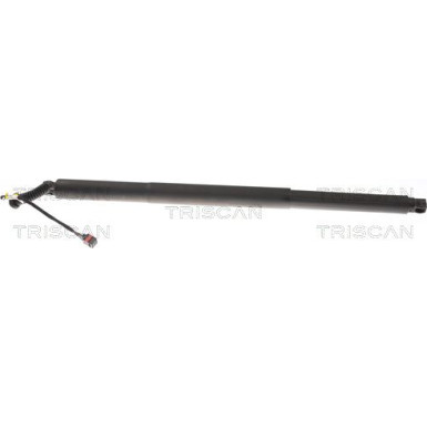 Gasfeder, Koffer-/Laderaum 871029308