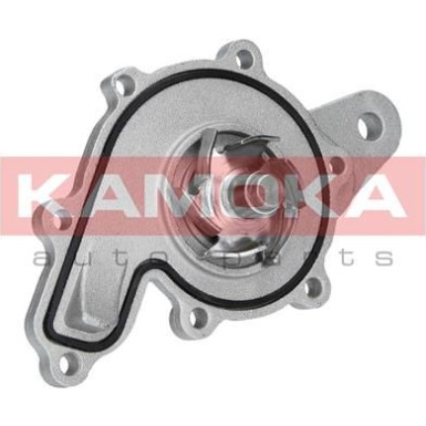 KAMOKA Wasserpumpe T0259 KAMOKA Wasserpumpe T0259