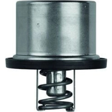 Thermostateinsatz TX 37 79