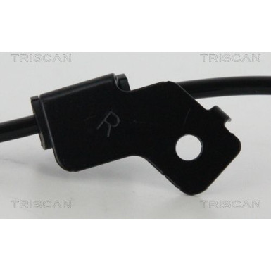 Sensor, Raddrehzahl 818043112