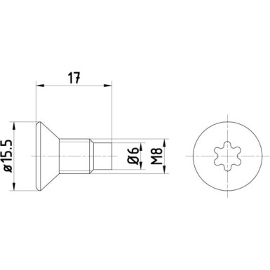 Schraube, Bremsscheibe TPM0004
