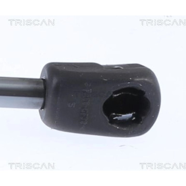 Gasfeder, Motorhaube 871029153